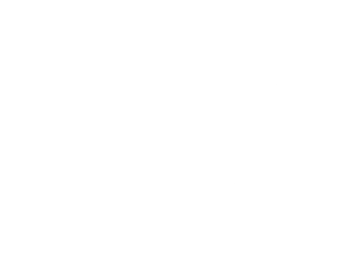 Logo van de Davis Dyslexia Association